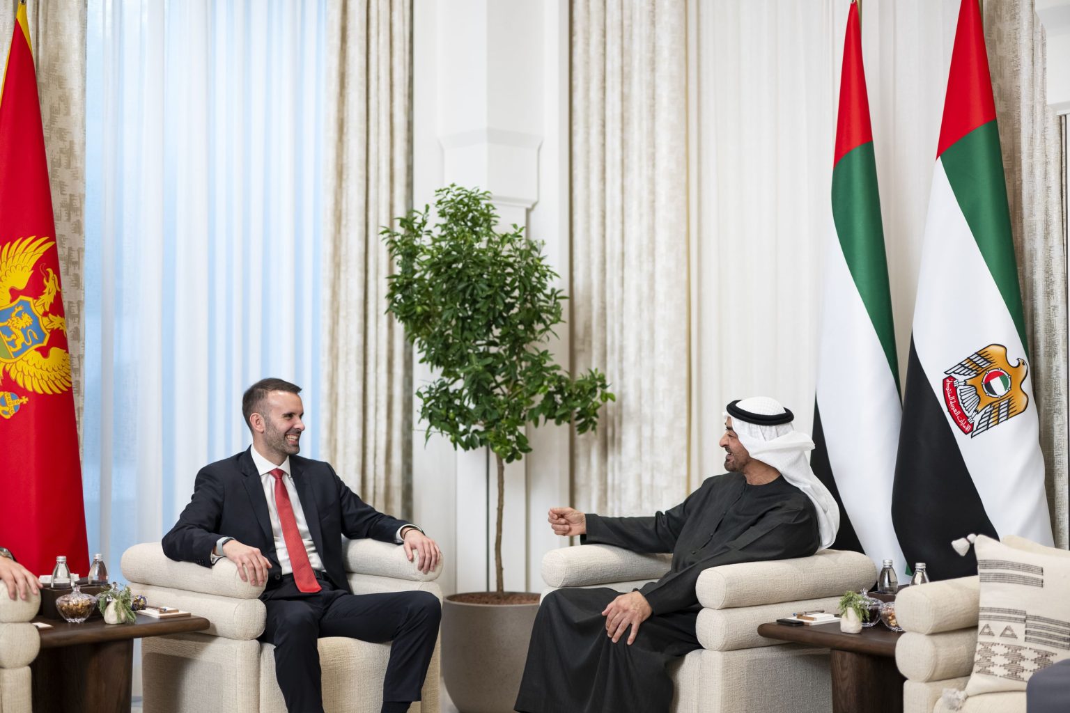 رئيس الدولة ورئيس وزراء مونتينغرو يبحثان علاقات البلدين 1762545587 image