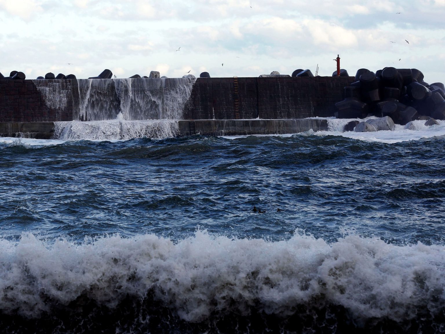 تحذير من تسونامي في اليابان والفلبين وإجلاء نحو مليون شخص بسبب إعصار” فونج وونج” 1762689275 image
