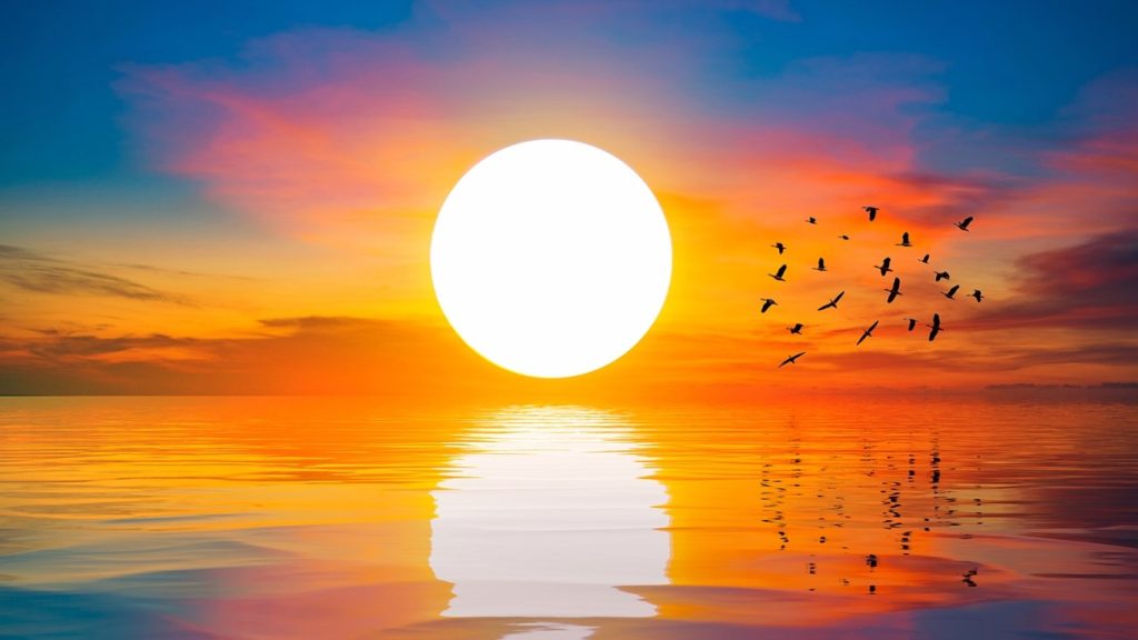 إيلون ماسك يقرر التدخل في طريقة عمل «الشمس» وإجراء «تعديلات طفيفة» عليها ! 1762760640 image