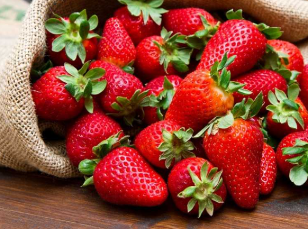 الفراولة فوائد لا تُحصى: تُحسِّن البشرة وتدعم القلب وتُنظم السكر وتُعدِّل المزاج 1763192199 image