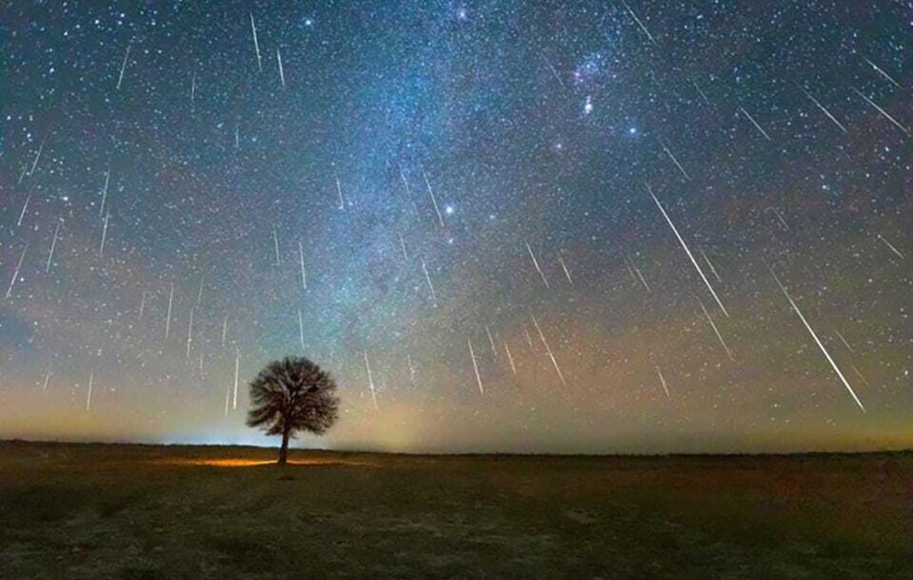 زخات شهب الأسديّات تسطع في سماء الإمارات 1763296500 image