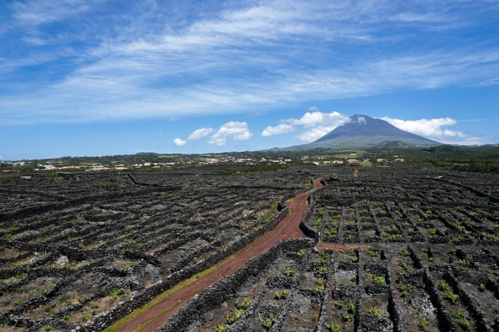 مناطق النبيذ والعنب الأقل شهرة التي تحبها من ستة بلدان 1763301536 0x0