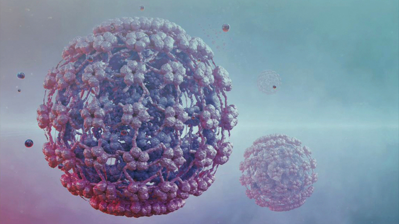 اللقاح يحمي من 90% من السرطانات المرتبطة بالورم الحليمي 1763342757 image