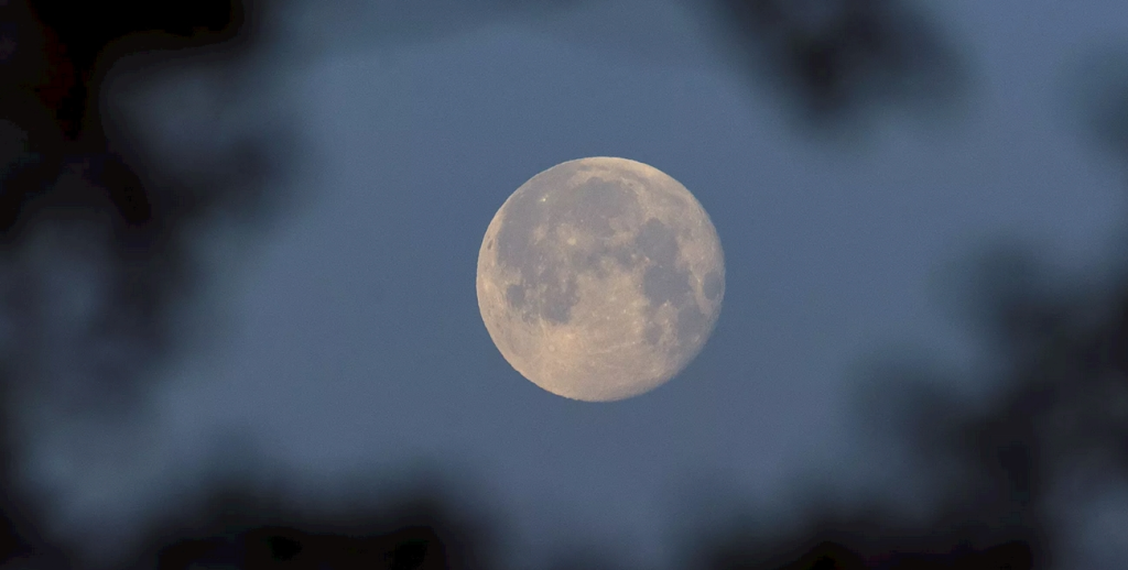 لم يكن موجوداً في 2012 .. «نمش» على وجه القمر يثير حيرة العلماء 1763632715 image