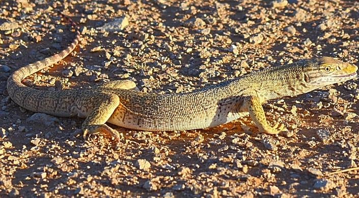 1764451141 144 Capture