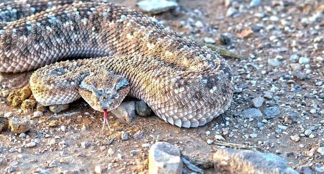 1764451141 751 Capture