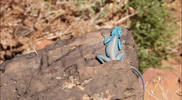 1764451141 998 Capture