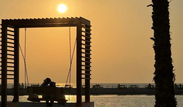 1764535915 394 Capture