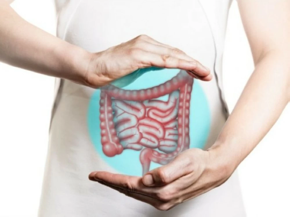 كيف تهدد الأطعمة المعَالجة صحة الأمعاء وتُسرّع سرطان القولون؟ – أخبار السعودية 2615390.webp