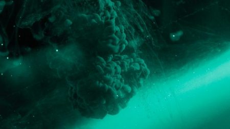 619635a1caf96a01a5d7b7cbc61abc5220cd32cb 80