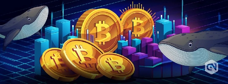 يصل سعر البيتكوين إلى منطقة النجاح أو الانهيار بعد تراجعه بنسبة 3.5٪ في أكتوبر 7de85db29fa40f62a8eb09855acc9549ac3d2cbc.webp