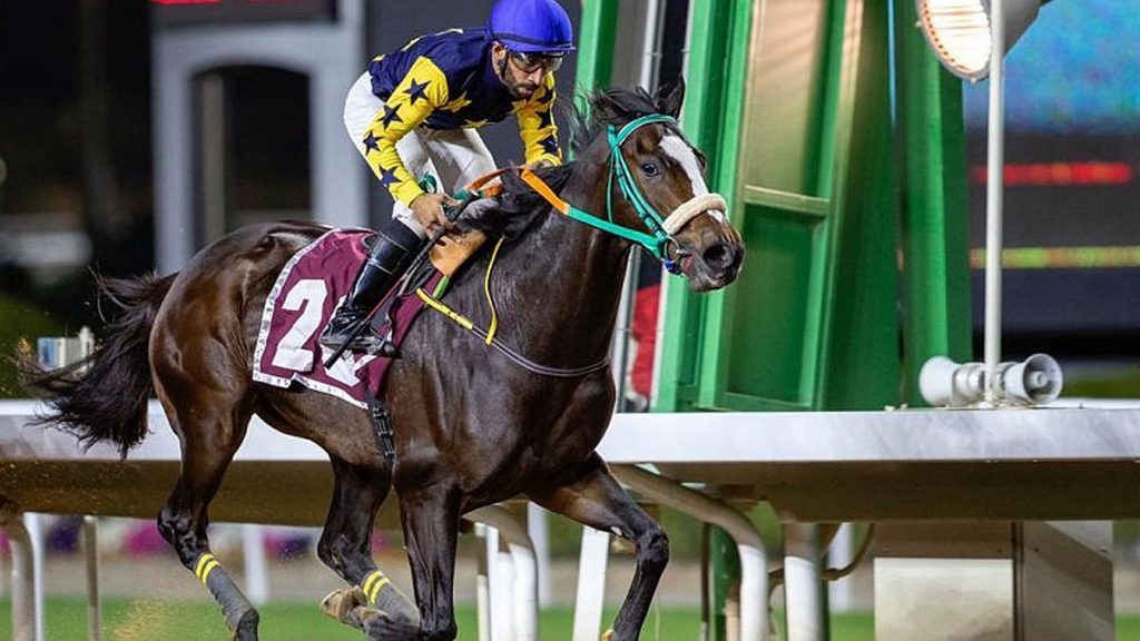 ميدان سباقات الخيل بنجران يُنظّم اليوم حفل سباقه الثامن للموسم الحالي ajel2F2022 022F37677ca2 31d8 44fd beb0 7f7989ba8ff12F1