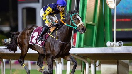 ajel2F2022 022F37677ca2 31d8 44fd beb0 7f7989ba8ff12F1