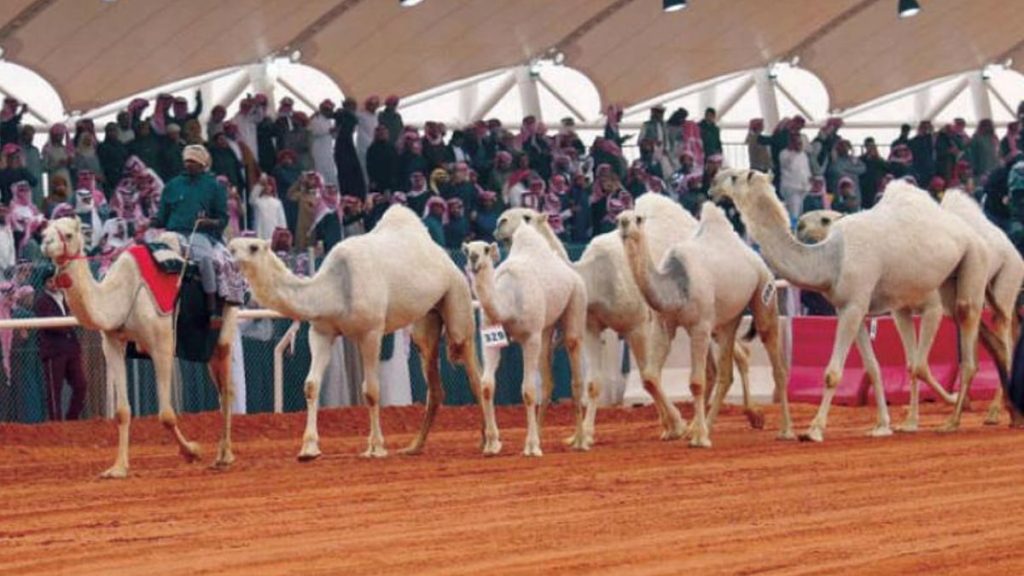 ajel2F2022 102F8f184128 536c 47ed 9667 88250230c4212F 5