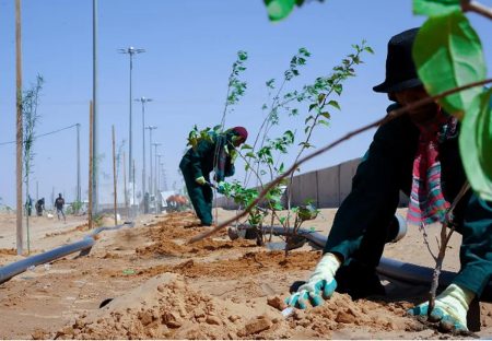 ajel2F2023 062Fad0f4b5d fe99 4281 b4c3 2d3298c8d5772FCapture