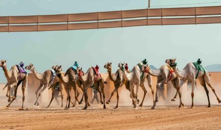 ajel2F2024 042F9c6fc8ad de7f 4154 8716 bafba50da4482FCapture