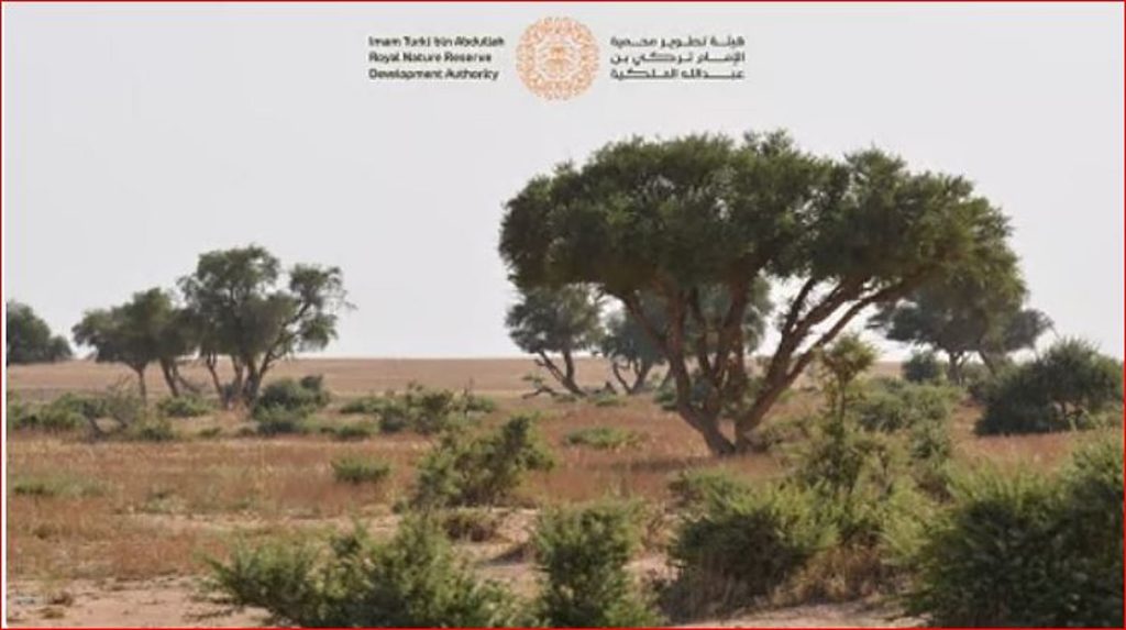 ajel2F2024 09 292Fihjp5j9i2F25D9258525D825AD25D9258525D9258A25D825A9 25D825A725D925