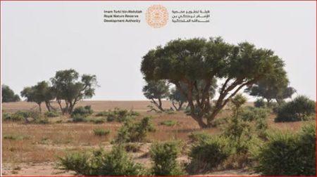 ajel2F2024 09 292Fihjp5j9i2F25D9258525D825AD25D9258525D9258A25D825A9 25D825A725D925