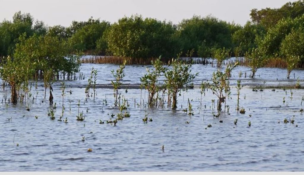 ajel2F2025 11 012Fe6ufkp8i2FCapture