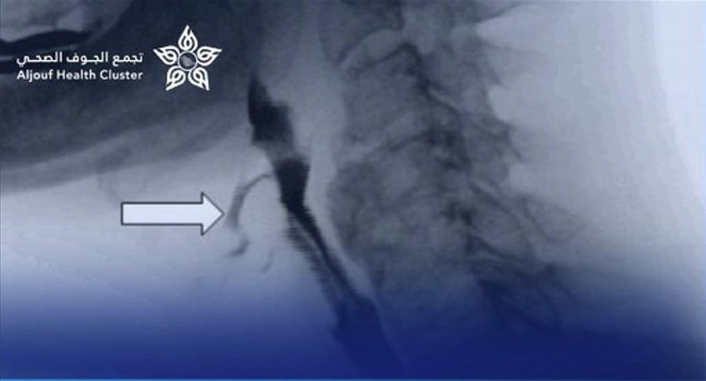 ajel2F2025 11 022Fgx4k1rj42FScreenshot 2025 11 02 183405