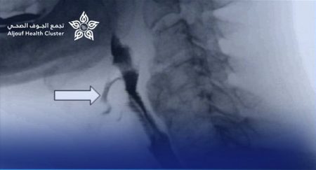 ajel2F2025 11 022Fgx4k1rj42FScreenshot 2025 11 02 183405