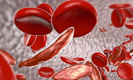 ajel2F2025 11 022Fz03nrrhj2Fajel2025 10 19n4m8f35xajel2024 071d369534 fabb 45fd 9071 a61b66282f57