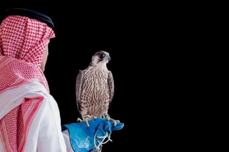 ajel2F2025 11 032Fq3vobwfj2FCapture