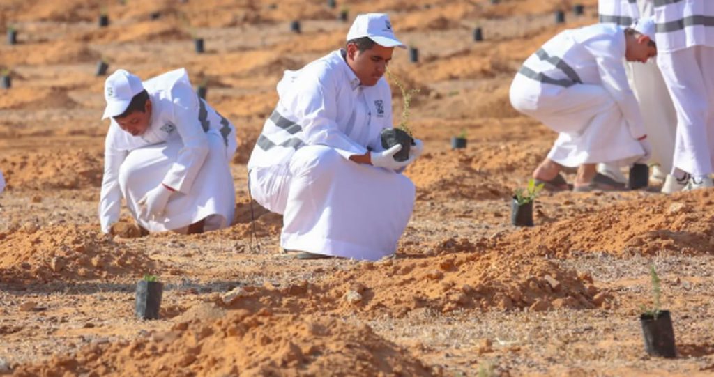 هيئة تطوير محمية الملك سلمان الملكية تنظم مبادرة لزراعة 3000 شتلة ajel2F2025 11 042Fqu2s22bt2FCapture