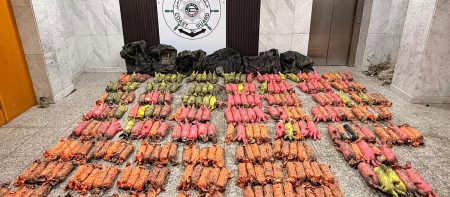 ajel2F2025 11 042Fugzfhpp62FD8B3D988D8A7D8ADD984 D8B3D988D8A7D8ADD984