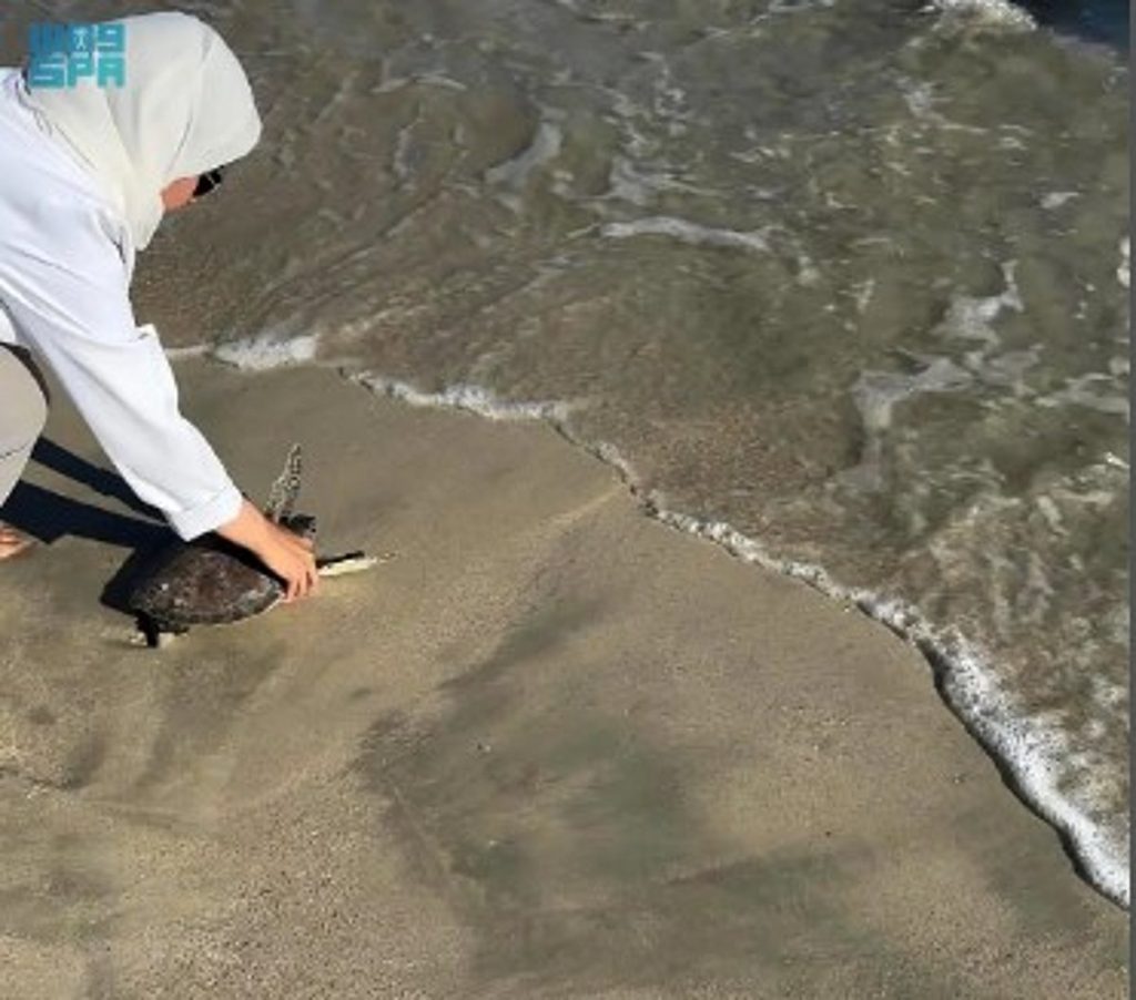 ajel2F2025 11 052F1edpbflo2FD8B3D984D8ADD981D8A7D8A9