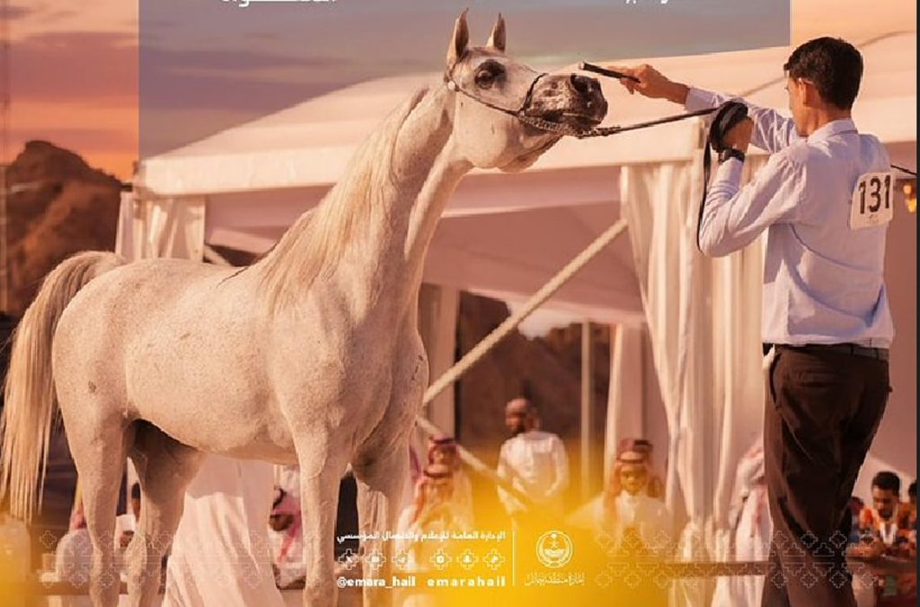 اليوم.. انطلاق بطولة حائل الدولية لجمال الخيل العربية الأصيلة 2025 برعاية أمير المنطقة ajel2F2025 11 062Fhv4hai1g2FScreenshot 2025 11 06 100717