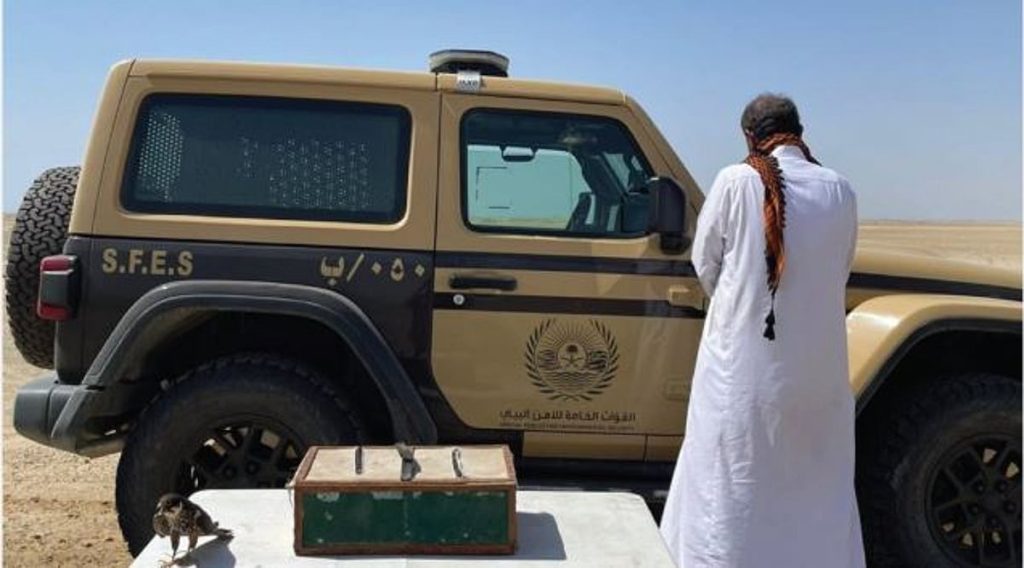 بحوزته صقر و3 كائنات فطرية.. القبض على مواطن لارتكابه الصيد دون ترخيص في ينبع ajel2F2025 11 072F1dvfr19l2FCapture