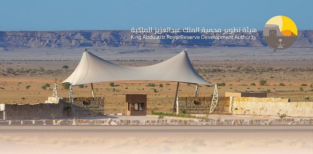 «محمية عبدالعزيز الملكية»: إيقاف مؤقت للأنشطة والزيارات في روضة الخفس ajel2F2025 11 072F2uv1f1ec2FIMG20251107213747