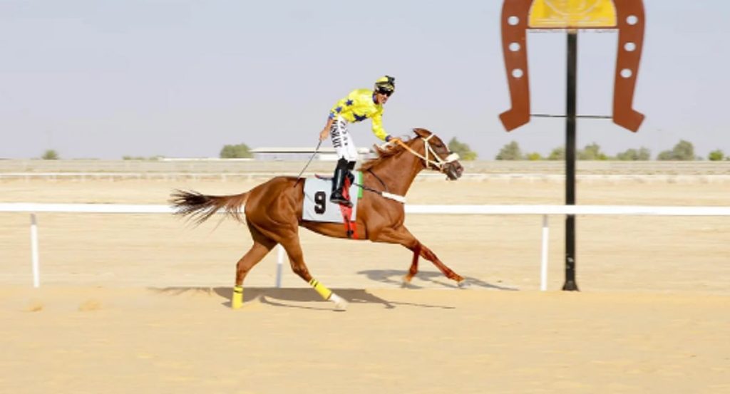 ajel2F2025 11 082F6qfan60i2FCapture