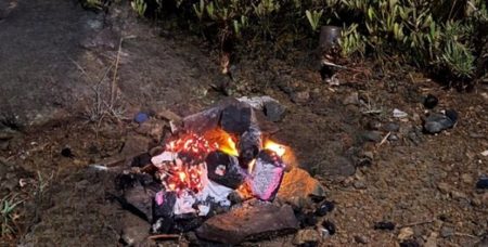 ajel2F2025 11 082Fnxblrlzp2FScreenshot 2025 11 08 152040