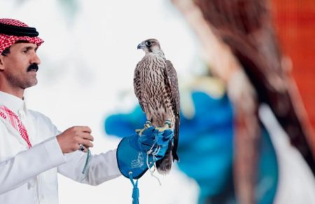 ajel2F2025 11 092F71jepupi2FCapture