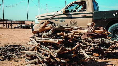 ajel2F2025 11 102Fgm0h251f2FD8AAD8AED8B2D98AD986 D8A7D984D8ADD8B7D8A8 D8A7