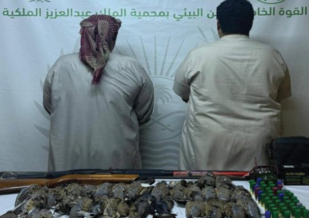 ajel2F2025 11 132Fjx1t0n1e2FScreenshot 2025 11 13 195541