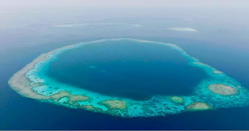 الرئيس التنفيذي في المركز الوطني لتنمية الحياة الفطرية: محميتا "الثقوب الزرقاء" و"رأس حاطبة" تؤكدان جهود السعودية في حماية البيئة البحرية ajel2F2025 11 132Fkzzfj2632Fajel2025 11 12hdtjed70Capture.avif