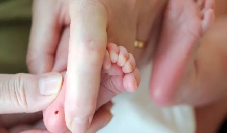 ajel2F2025 11 132Fl6n43ged2Fajel2023 087820b5f9 57d2 4252 ba8e f703ba1d81dc2d4ba8f8 ccfd 4717 b1d