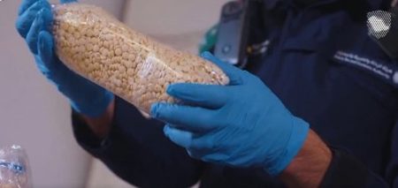 ajel2F2025 11 142Fdx5dv3k42FD985D8AED8AFD8B1D8A7D8AA