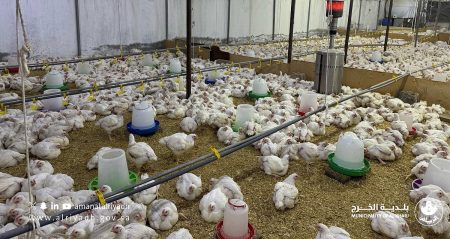 ajel2F2025 11 142Ff9h8s3bi2FIMG20251114213652