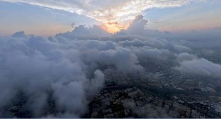 ajel2F2025 11 152Fcrx9wom12FCapture