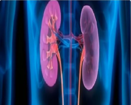 ajel2F2025 11 162Fcwj62tqd2FD8A7D984D983D984D98AD8AAD98AD986