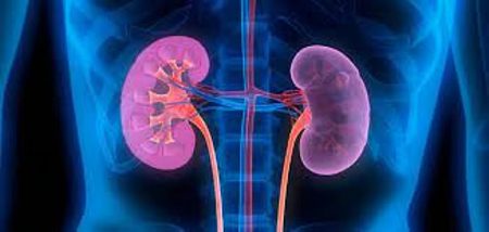 ajel2F2025 11 162Fhkjo80f62FD983D984D989 D983D984D989.avif