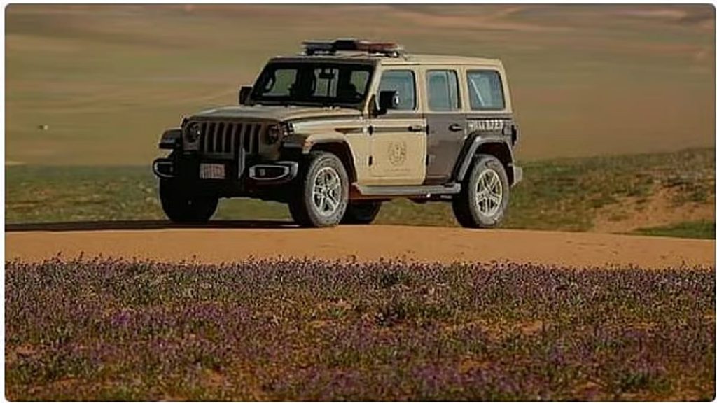 ضبط مواطن لارتكابه مخالفة الشروع في الصيد دون ترخيص في عسير ajel2F2025 11 172F0wehfi4q2FD8A7D984D8A3D985D986 D8A7D984D8A8D98AD8A6D98A.a