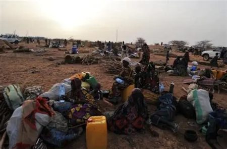 ajel2F2025 11 172Fd6jfe88z2FOIP.webp