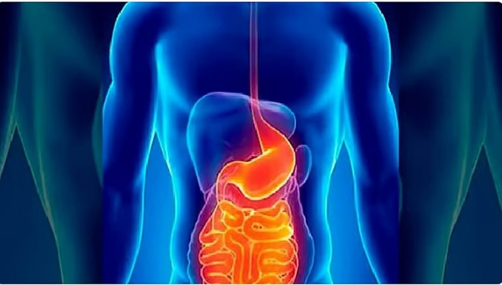 أخصائي يحدد مصادر البكتيريا النافعة للجهاز الهضمي ajel2F2025 11 172Fkc6iny902FD8ACD987D8A7D8B2.avif