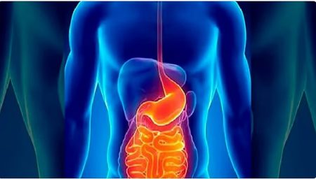 ajel2F2025 11 172Fkc6iny902FD8ACD987D8A7D8B2.avif