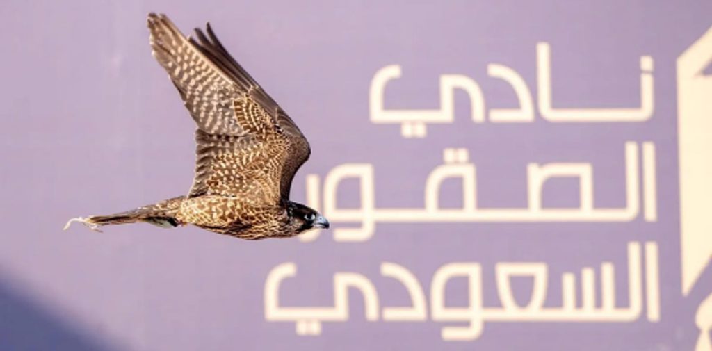 ajel2F2025 11 182Fg3tfnghp2FCapture